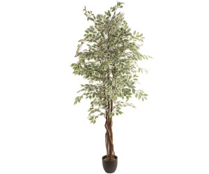 Mākslīgais augs FICUS 2.20m Mākslīgais augs FICUS 2.20m